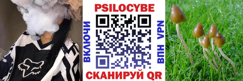 Галлюциногенные грибы GOLDEN TEACHER  Купить где  Карабаш 